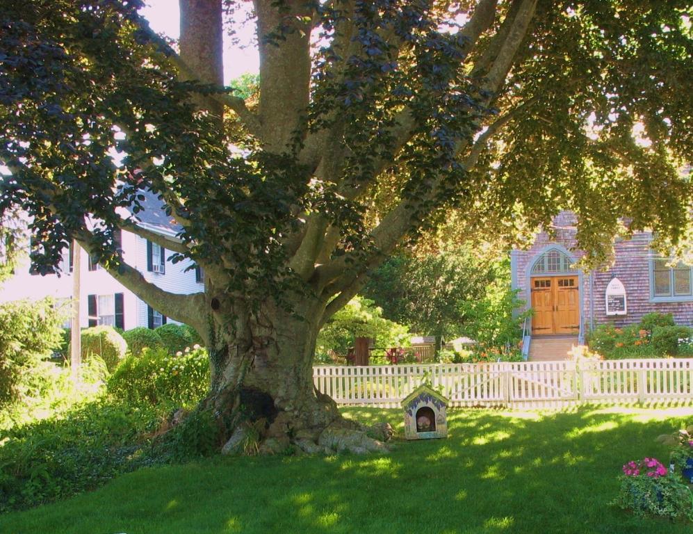 The 1720 House Bed and Breakfast Vineyard Haven Eksteriør billede